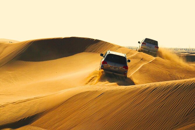 Half Day Safari Tour With Camel Ride and Sand Boarding in Doha - Key Points Before You Book