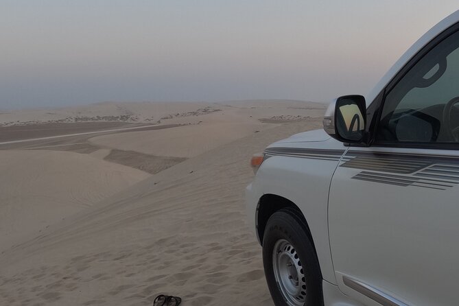 Half Day Safari Tour With Camel Ride and Sand Boarding in Doha - Who Will Get the Most From This Tour