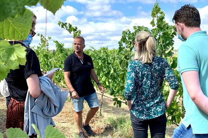 Half Day Safari Tour with Wine Tasting - Who should book this tour?