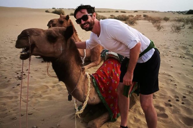 Half-Day Sunset Camel Safari in Rajasthan - What makes this safari worth considering