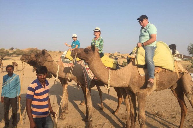 Half-Day Sunset Camel Safari in Rajasthan - Choosing Sam Sand Dunes or Khuri Sand Dunes