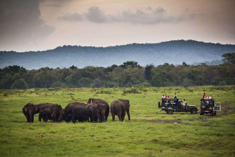 Hambantota Port: Udawalawe Safari Tour & Transit Home Visit - Guides, drivers, and the quality of the day