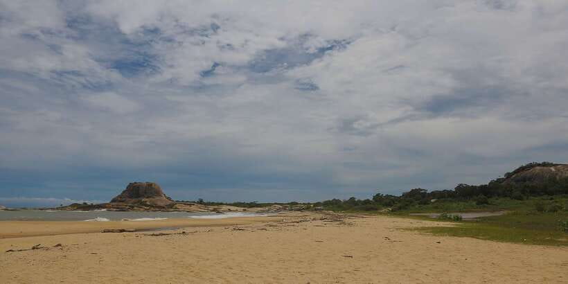 Hambantota: Yala National Park Wildlife Safari in a 4x4 - The cost: $48 is only the starting point