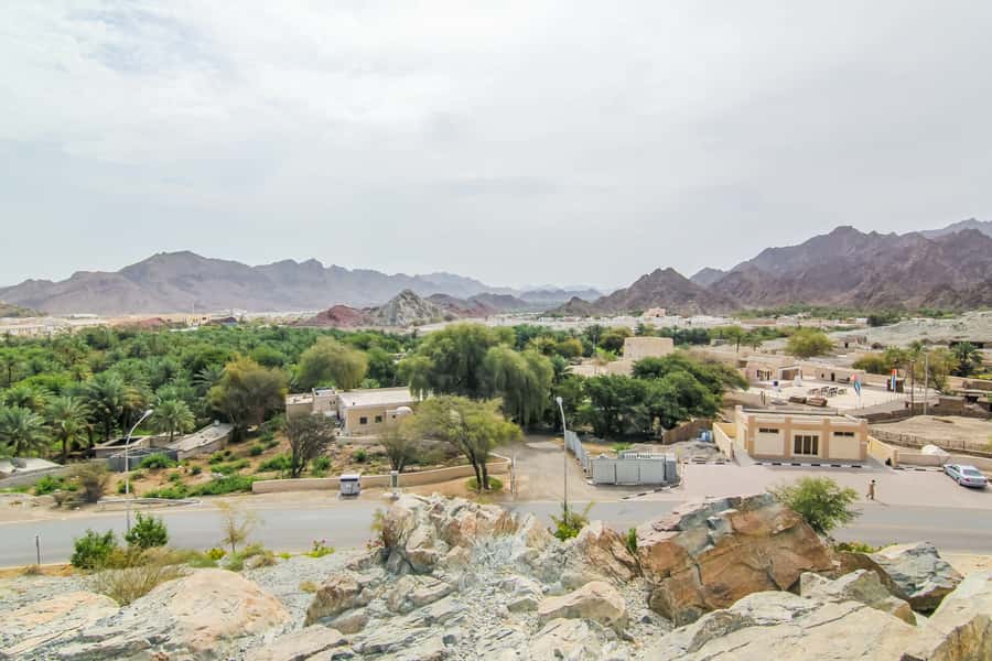 Hatta Safari & Honey Bee Garden Visit - A picnic breakfast before the main mountain route