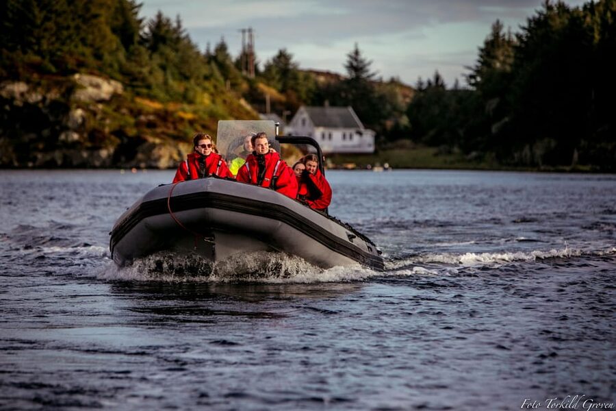 Haugesund: RIB Safari to the island communities - Through the straits that gave Norway its name