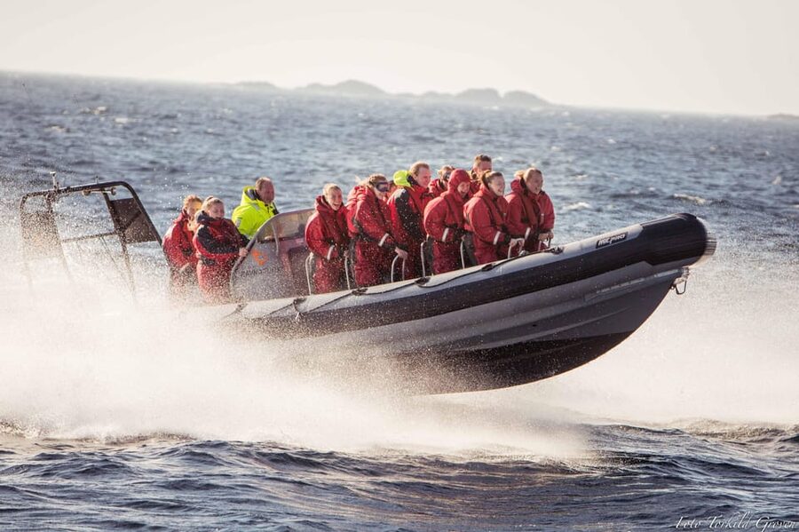 Haugesund: RIB Safari to the island communities - Practical tips for a smoother ride
