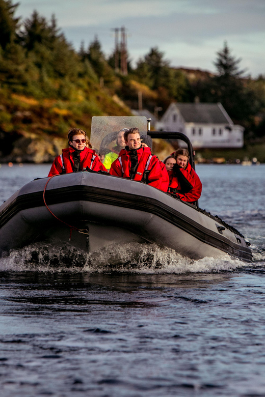 Haugesund: RIB Safari to the island communities - What the survival suit means on a cold day