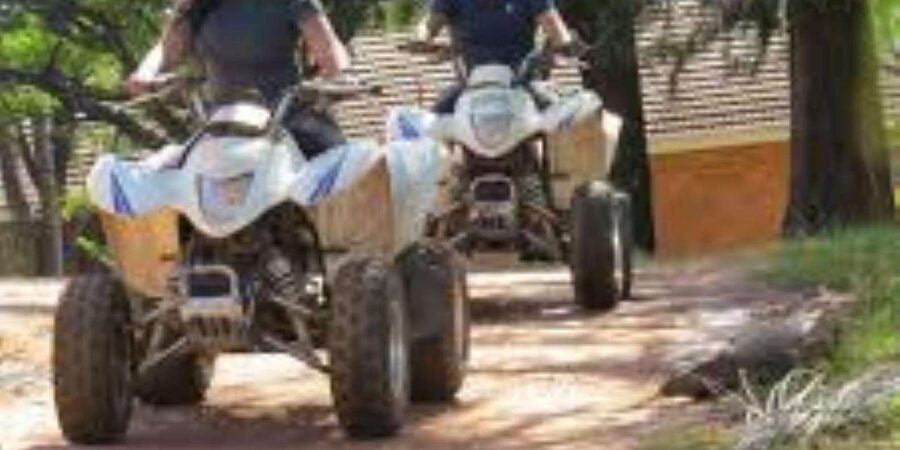 Hazyview: Guided Macadamia Plantation and Forest Quad Safari - What one hour feels like on the trail