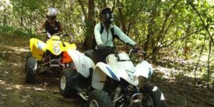Hazyview: Guided Macadamia Plantation and Forest Quad Safari - Is $48 a fair price for one hour?