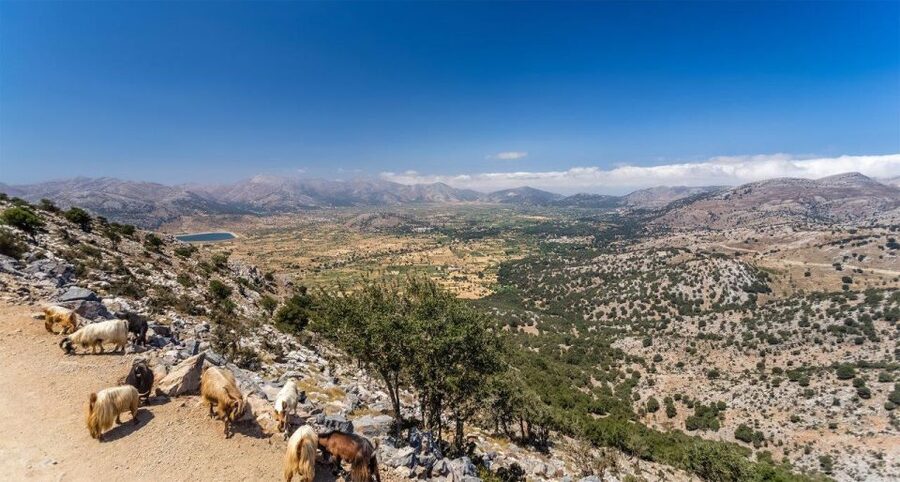Heraklion: Sunset Safari with Dinner & Prosecco - Why this six-hour safari works so well