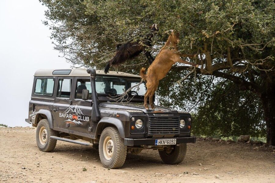 Heraklion: Sunset Safari with Dinner & Prosecco - Dinner at a local Cretan taverna