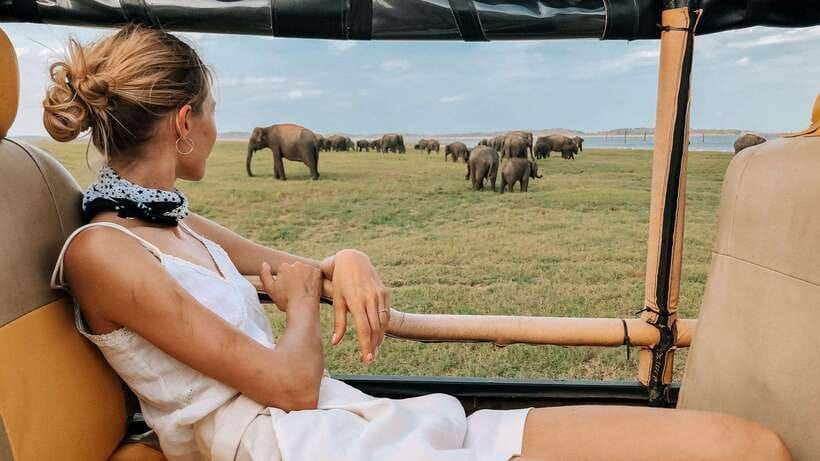 Hikkaduwa/Galle/Weligama/Mirissa/Tangalle: Udawalawa Safari - Five Things to Know Before You Go