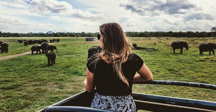 Hikkaduwa/Galle/Weligama/Mirissa/Tangalle: Udawalawa Safari - The Animals You May See Along the Way