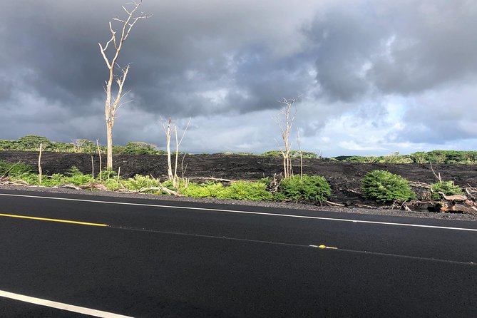 Hilo Shore Excursion: Volcano Safari Lava Caves & Black Sand - Pahoa and Leilani Estates show volcano damage up close