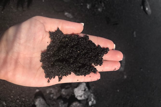 Hilo Shore Excursion: Volcano Safari Lava Caves & Black Sand - Lava Tree State Park has one of the strangest sights