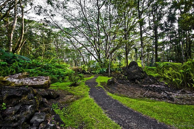Hilo Shore Excursion: Volcano Safari Lava Caves & Black Sand - Lunch is simple, local, and not included