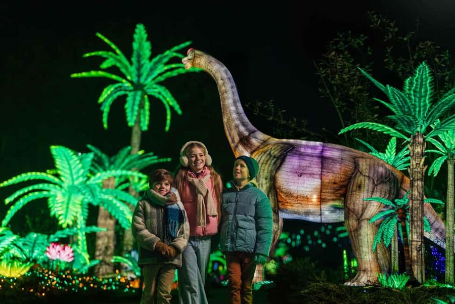 Hilvarenbeek: Light Safari at Beekse Bergen - Key points to know before you go