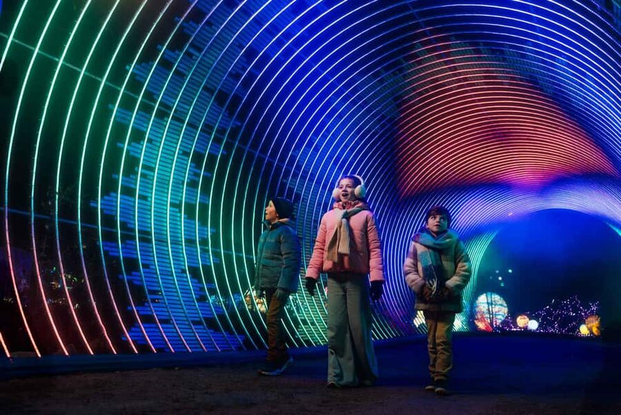 Hilvarenbeek: Light Safari at Beekse Bergen - Is the $25 ticket good value?