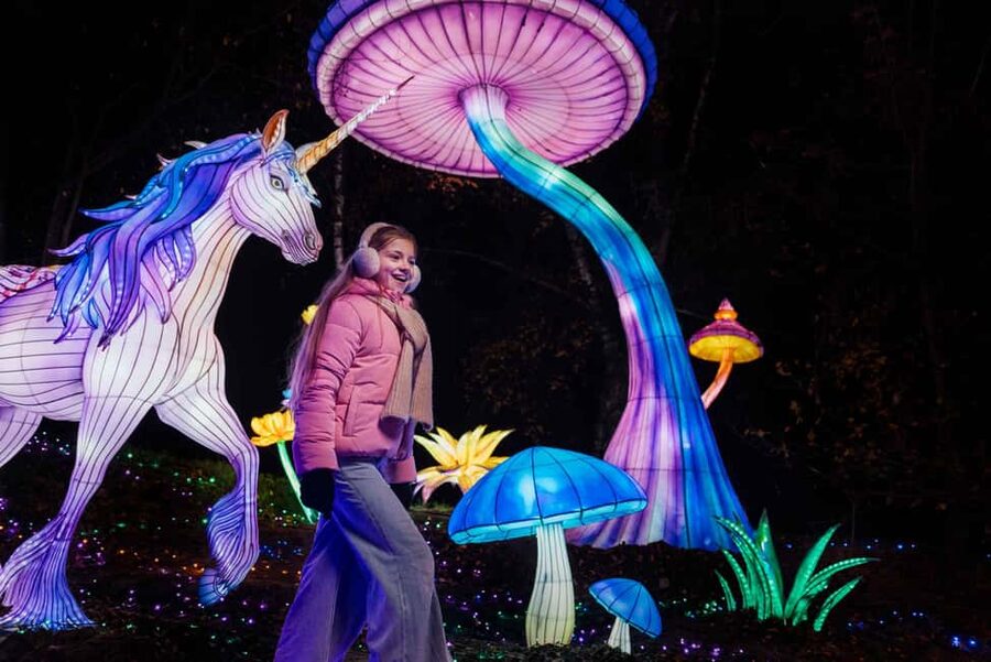 Hilvarenbeek: Light Safari at Beekse Bergen - From the first days of Earth to the age of dinosaurs