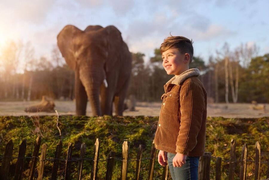 Hilvarenbeek: Safaripark Beekse Bergen Entry Ticket - Key things to know before you go