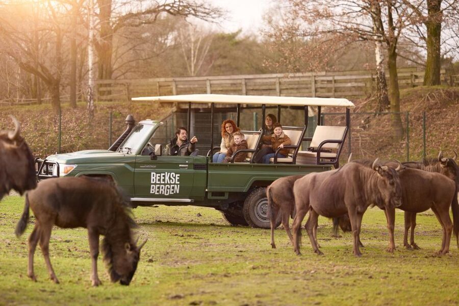 Hilvarenbeek: Safaripark Beekse Bergen Entry Ticket - Booking flexibility and timing