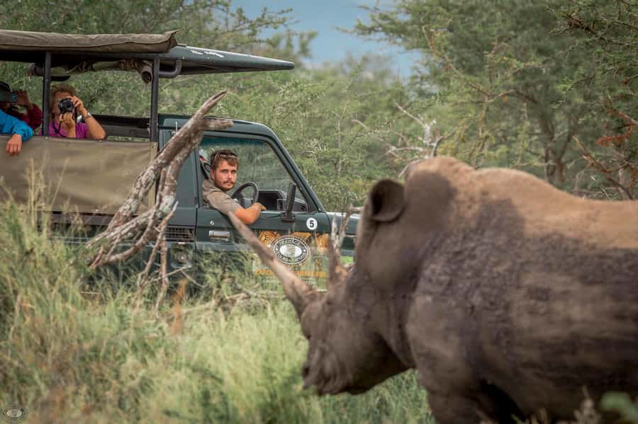 Hluhluwe-Imfolozi: Big 5 Full or Half-Day Safari - Key things to know before booking