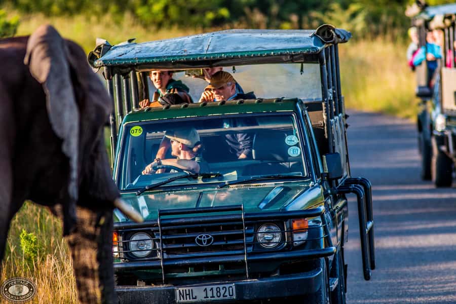 Hluhluwe-Imfolozi: Big 5 Full or Half-Day Safari - The 5:00 AM start from St Lucia