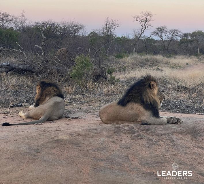 Hoedspruit: Private Kruger National Park Full-Day Safari - Should you book this Kruger day?