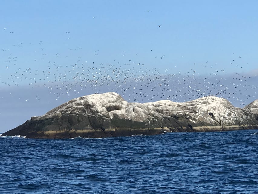 Honningsvåg: North Cape King Crab & Arctic Wildlife Safari - The final preserved fishing facility