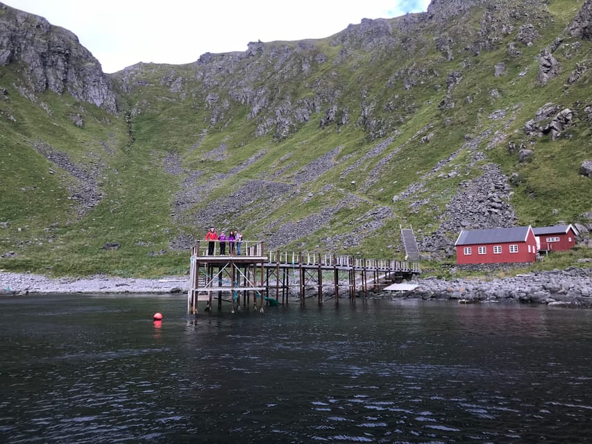 Honningsvåg: North Cape King Crab & Arctic Wildlife Safari - Who should book this tour?