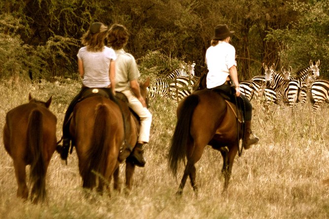 Horse safaris in Tanzania - Riding through Dolly Wildlife Estate