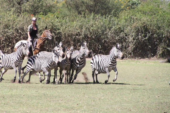 Horse safaris in Tanzania - Who will enjoy this ride most?