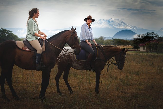 Horse safaris in Tanzania - Seeing zebra and wildebeest from the saddle