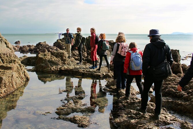 Howth Safari Hiking Tour - Why this is one of Dublin’s better outdoor escapes