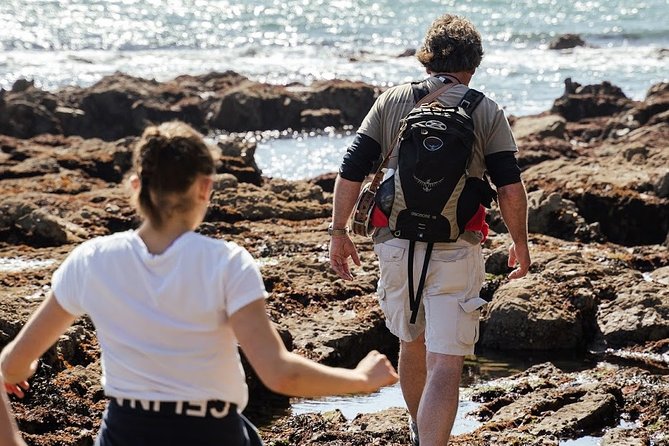 Howth Safari Hiking Tour - Doldrum Beach and Howth’s quieter shore