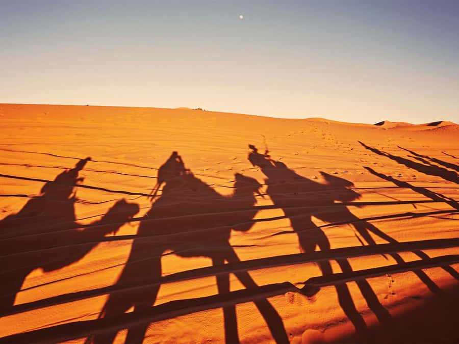 Hurghada: 6-Hour Jeep Desert Safari, Dinner, and Show - From Hurghada hotels to the open desert