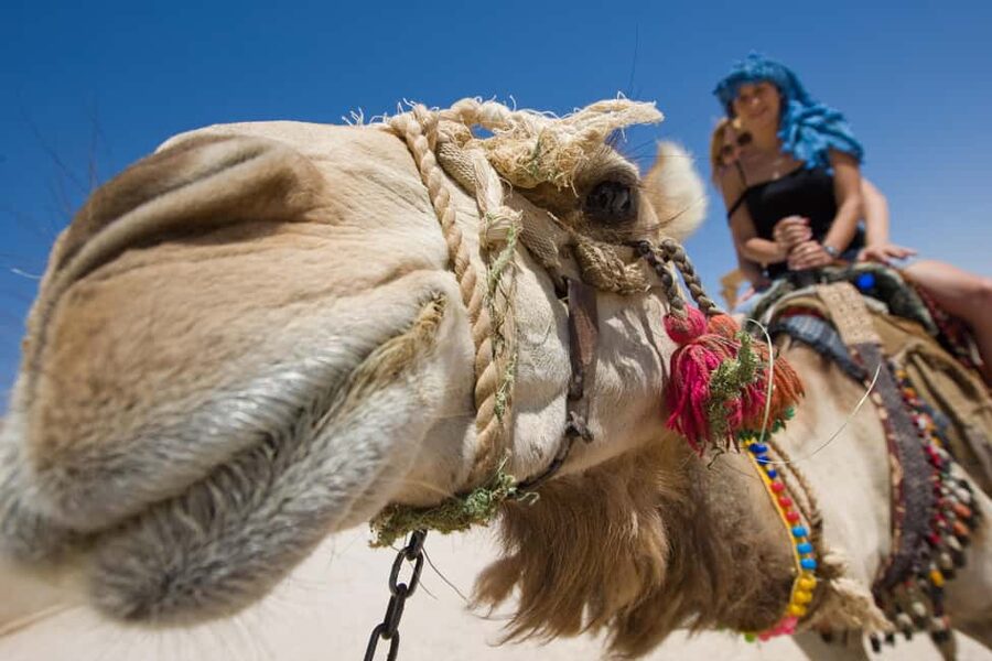 Hurghada: ATV Quad, Jeep and Buggy Safari with BBQ Dinner - Is $27 good value?
