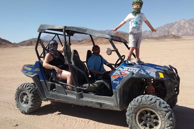 Hurghada: ATV Quad Safari, Camel Ride & Bedouin Village Tour - Who will enjoy this Hurghada tour?