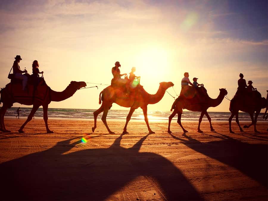 Hurghada: ATV Safari Tour with Camel Ride - The essential facts at a glance