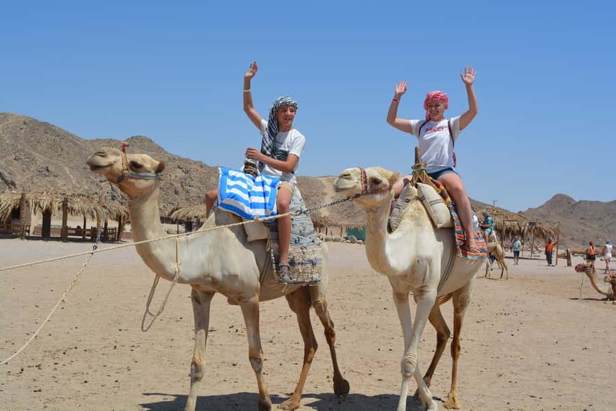 Hurghada: Jeep Safari with Camel Ride, Dinner and Show - The sunset return through open desert