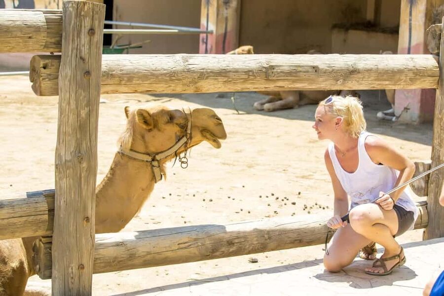 Hurghada: Mega Jeep safari, ATV & Bedouin vibe, and Dinner - A short camel ride with a traditional feel