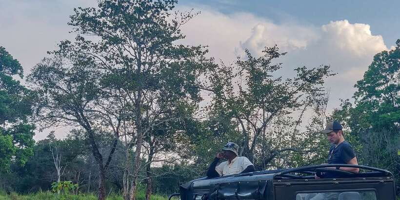 Hurulu Eco Park: 3-Hour Morning or Evening Safari - Three hours on the narrow forest tracks