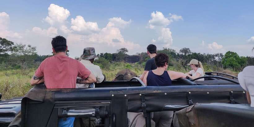Hurulu Eco Park: 3-Hour Morning or Evening Safari - The elephants are the clear highlight
