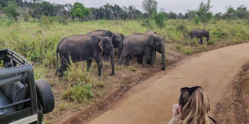 Hurulu Eco Park: 3-Hour Morning or Evening Safari - Group size, comfort, and photography