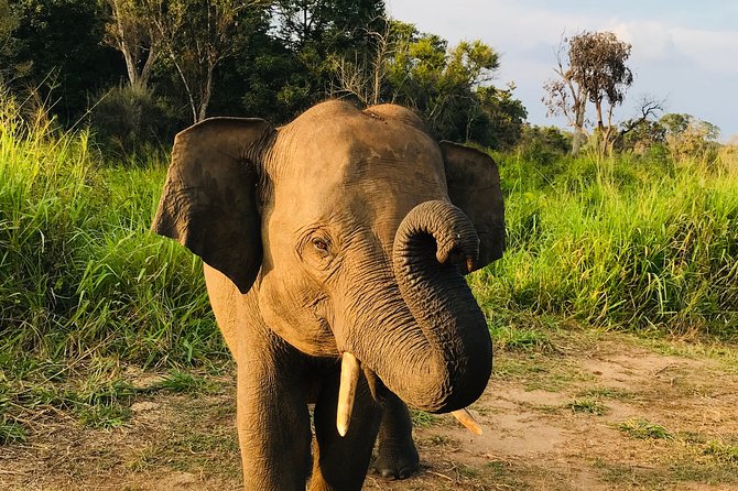 Hurulu Eco Park Half Day Safari - Key points before you book
