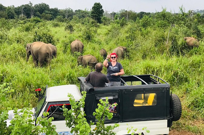 Hurulu Eco Park Half Day Safari - Why Minneriya is the main attraction