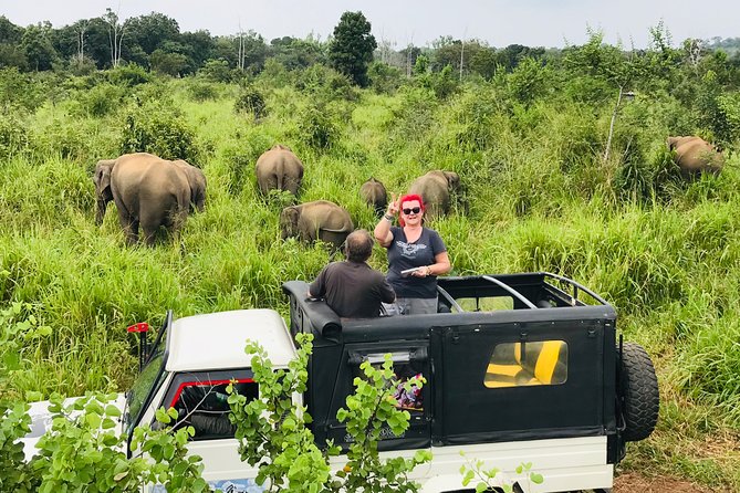 Hurulu Eco Park Half Day Safari - Meeting at Habarana Post Office