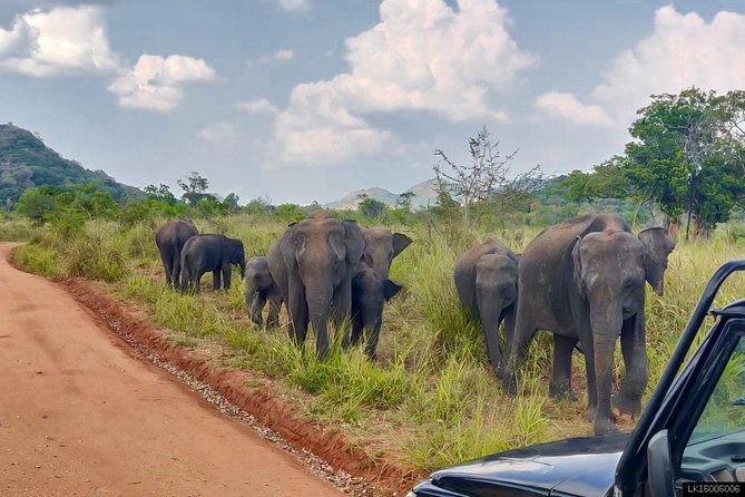 Hurulu Eco Park Private Safari - What Hurulu Eco Park is really like