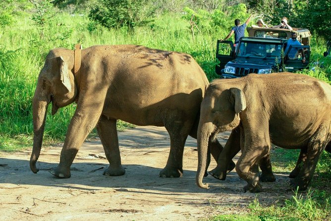Hurulu Eco Park Private Safari - Is $27 per person good value?