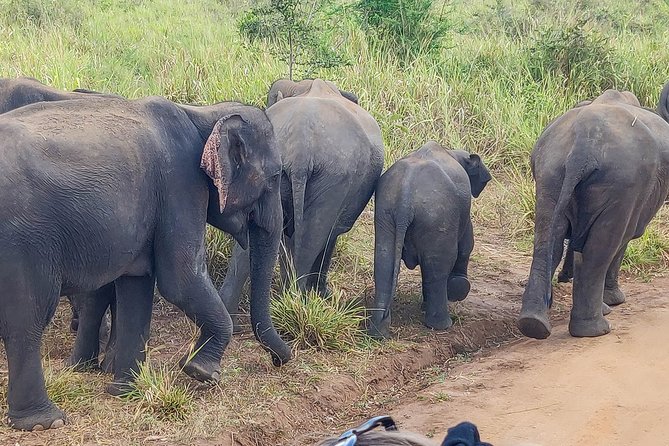 Hurulu Eco Park Private Safari - Who should book this safari?